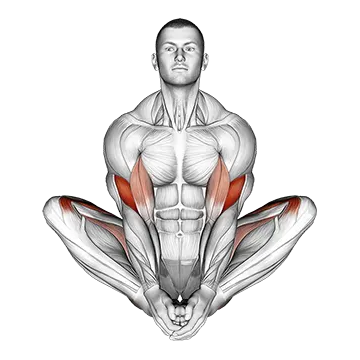 Butterfly Yoga Pose