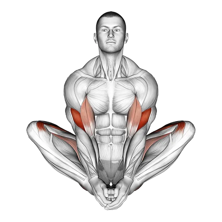 Butterfly Yoga Pose exercise animation (Male)