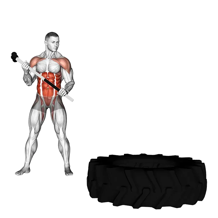 Sledge Hammer exercise animation (Male)