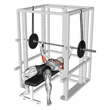 Barbell Reverse Band Bench Press
