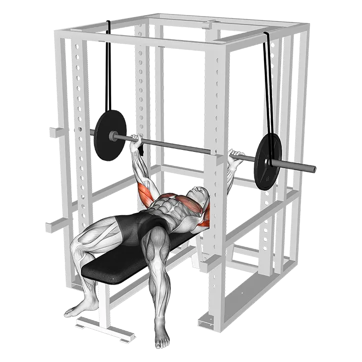 Barbell Reverse Band Bench Press exercise animation (Male)