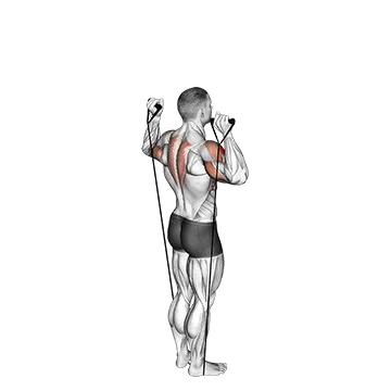 Band Behind Neck Shoulder Press
