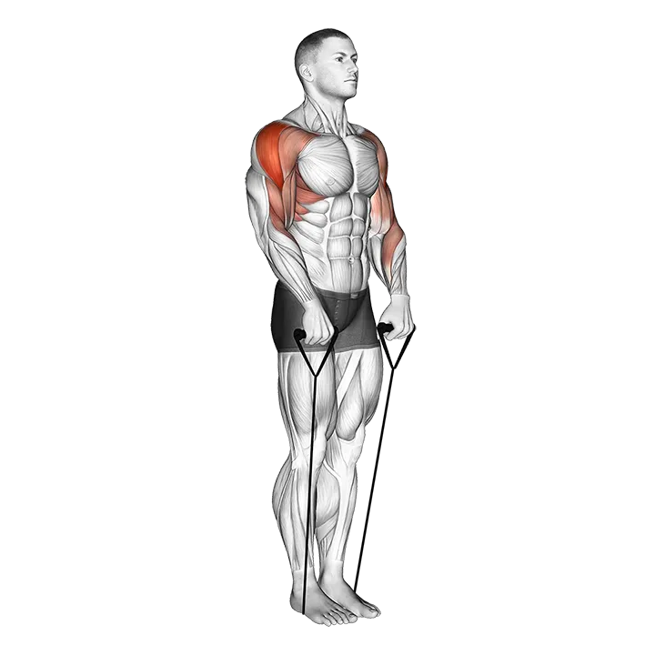 Band Upright Row (Under two feet) exercise animation (Male)