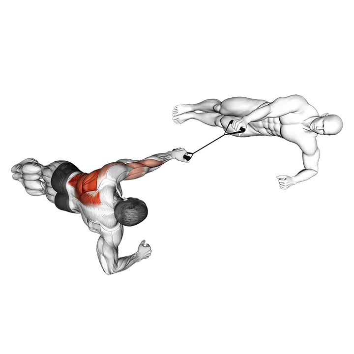 Band Side Plank Row with Partner exercise animation (Male)