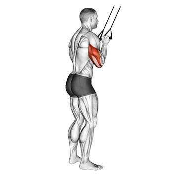 Band Pushdown