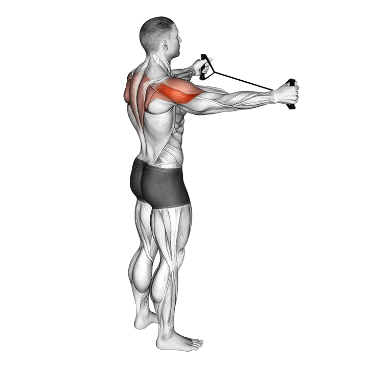 Band Pull Apart exercise animation (Male)