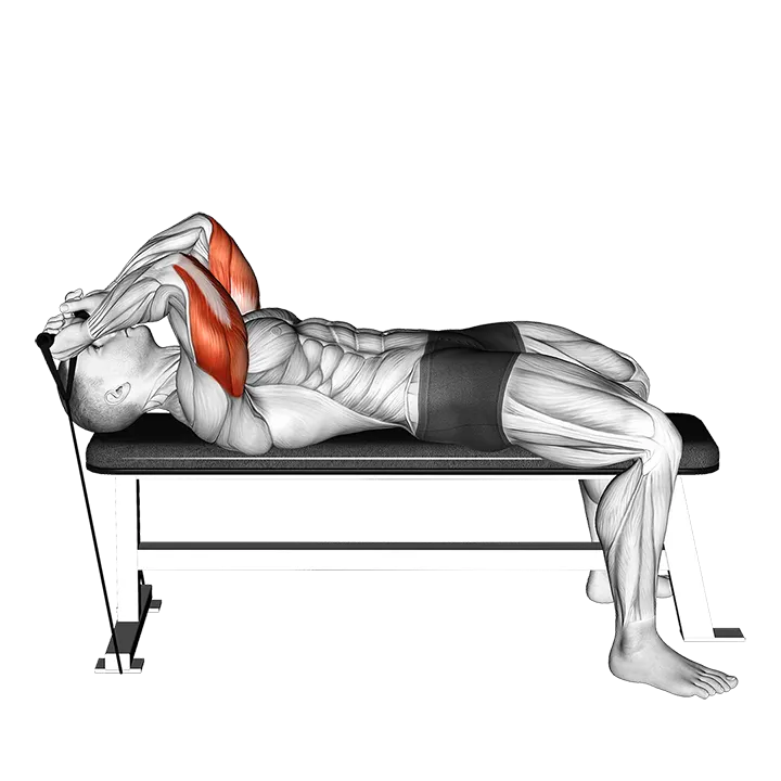 Band Skull Crusher exercise animation (Male)