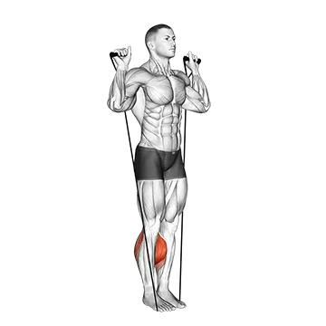 Band Calf Raise (Version 3)