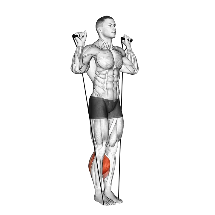 Band Calf Raise (Version 3) exercise animation (Male)