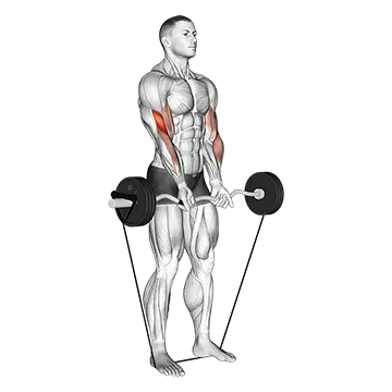 Band EZ Barbell Close-grip Curl