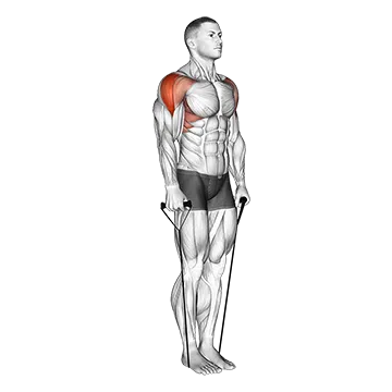 Band Lateral Raise (Version 2)