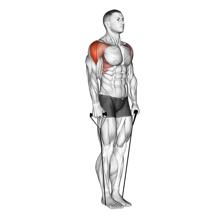 Band Lateral Raise (Version 2) exercise animation (Männlich)