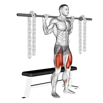 Barbell Bench Squat (With chains)