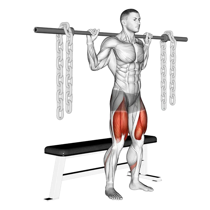 Barbell Bench Squat (With chains) exercise animation (Male)