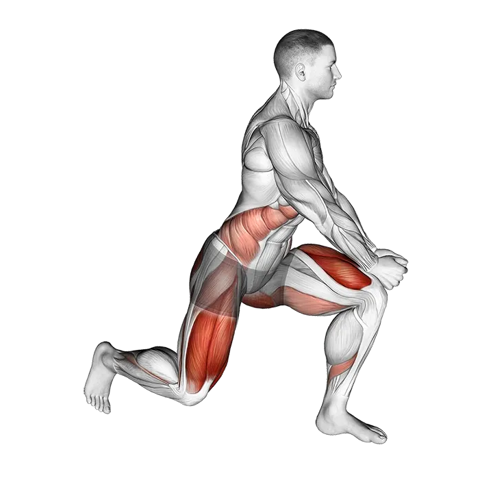 Crossover Reverse Lunge exercise animation (Male)
