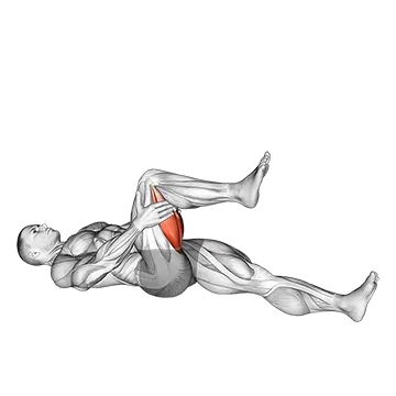 Hamstring Stretch