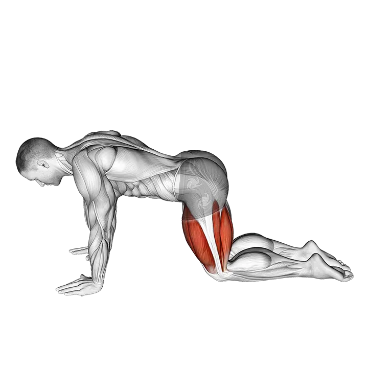 All Fours Squad Stretch exercise animation (Male)