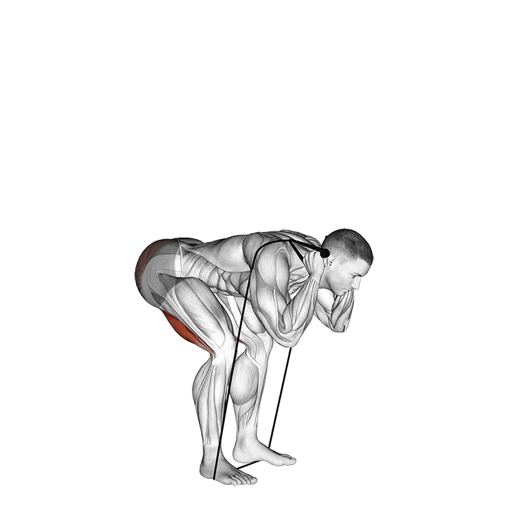 Band Good Morning exercise animation (Male)