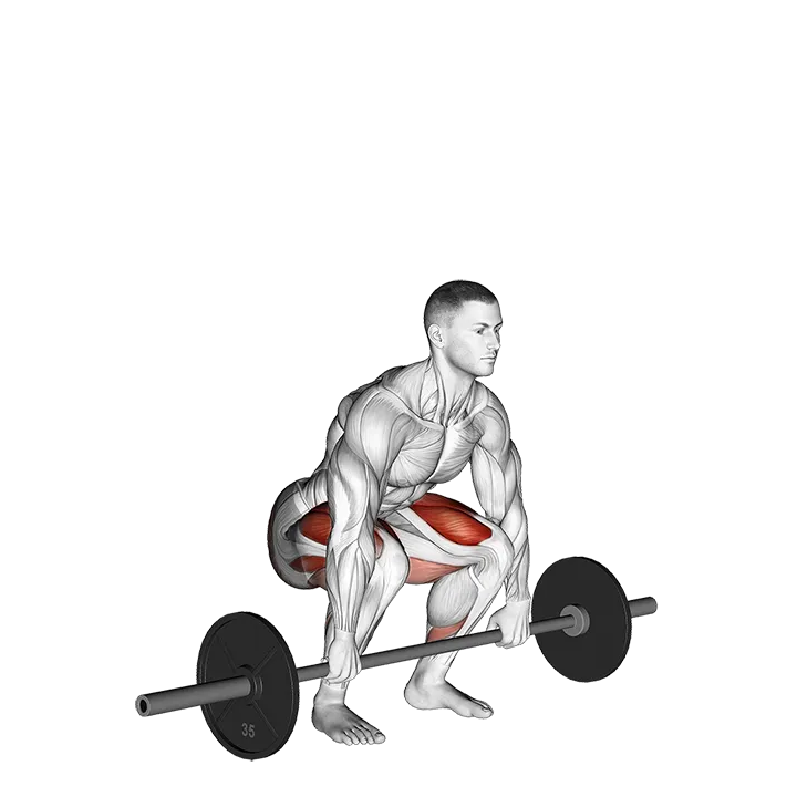 Barbell Clean Deadlift exercise animation (Male)