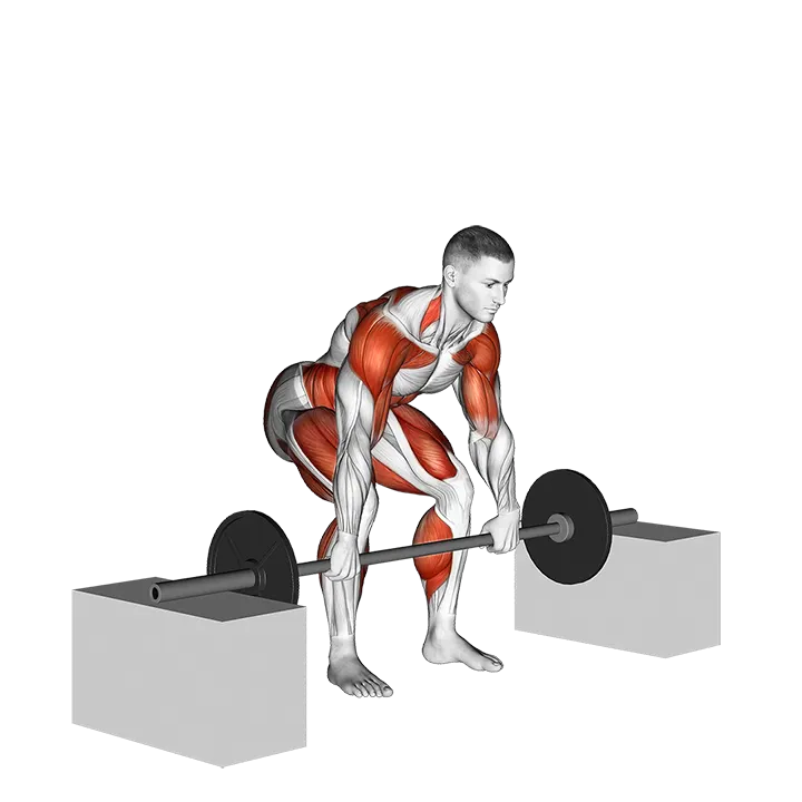Barbell Clean From Blocks exercise animation (Male)