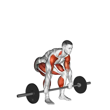 Barbell Clean Pull