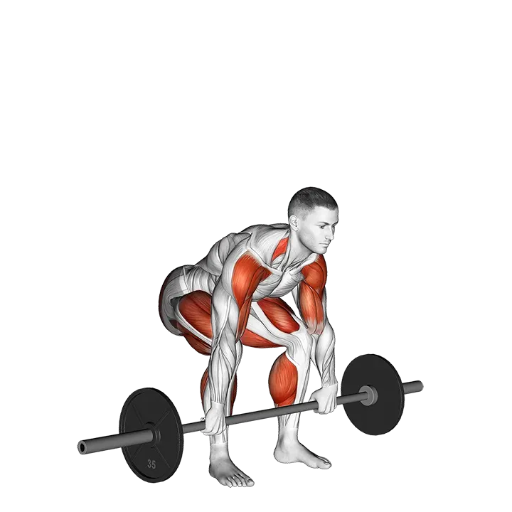 Barbell Clean Pull exercise animation (Male)