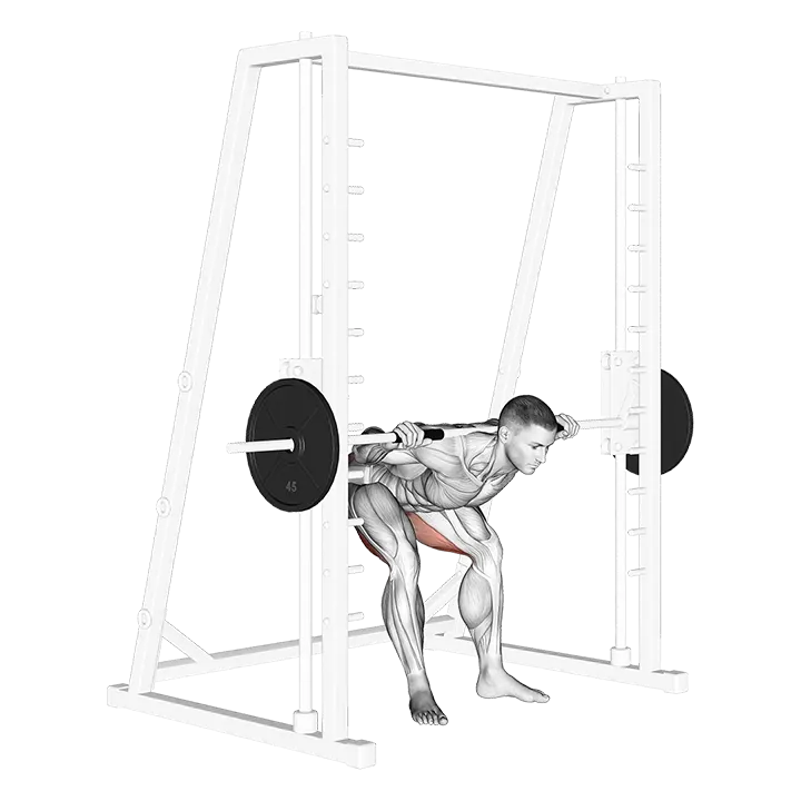 Smith Good Morning Off Pins exercise animation (Male)