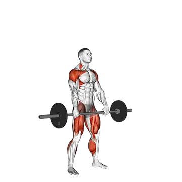 Barbell Hang Snatch