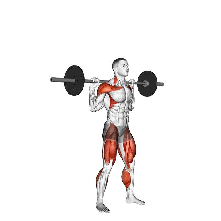 Barbell Heaving Snatch Balance exercise animation (Male)