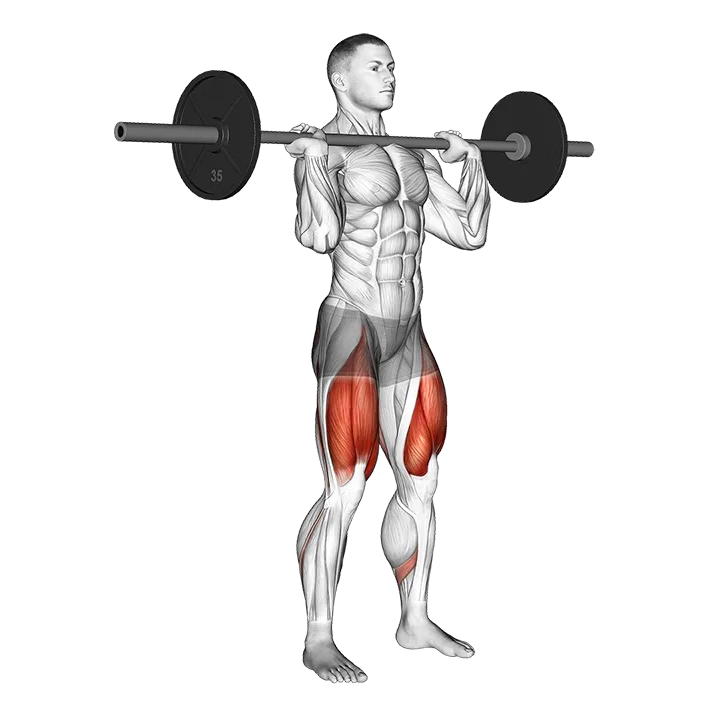 Barbell Jerk Dip Squat exercise animation (Male)