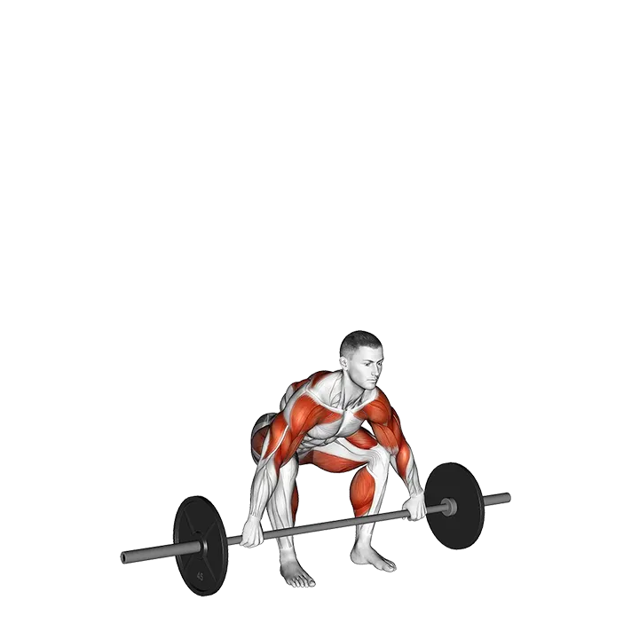 Barbell Muscle Snatch exercise animation (Male)