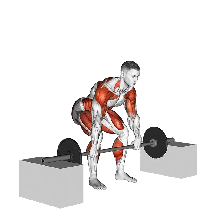 Barbell Power Clean from Blocks exercise animation (Male)