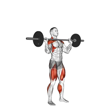 Barbell Power Jerk