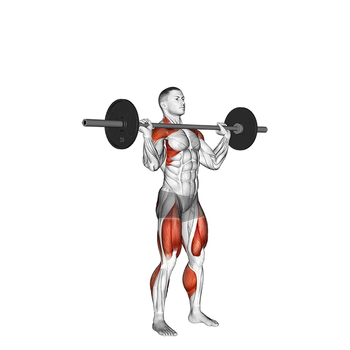 Barbell Power Jerk exercise animation (Male)