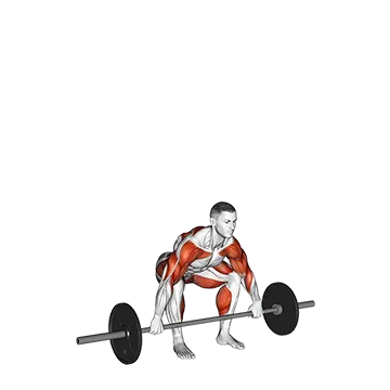 Barbell Power Snatch