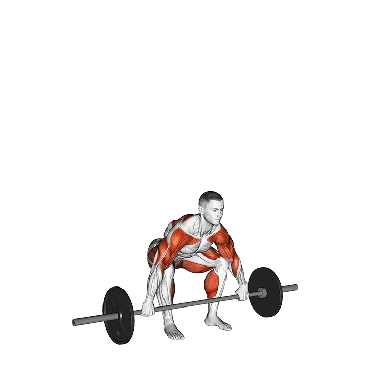 Barbell Power Snatch exercise animation (Male)