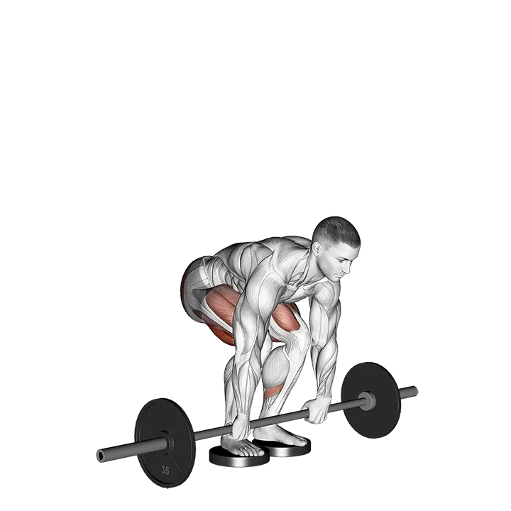 Barbell Romanian Deadlift From Deficit exercise animation (Male)