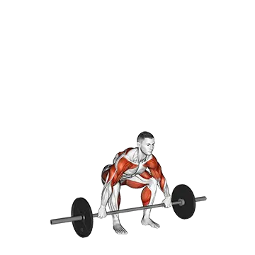 Barbell Snatch