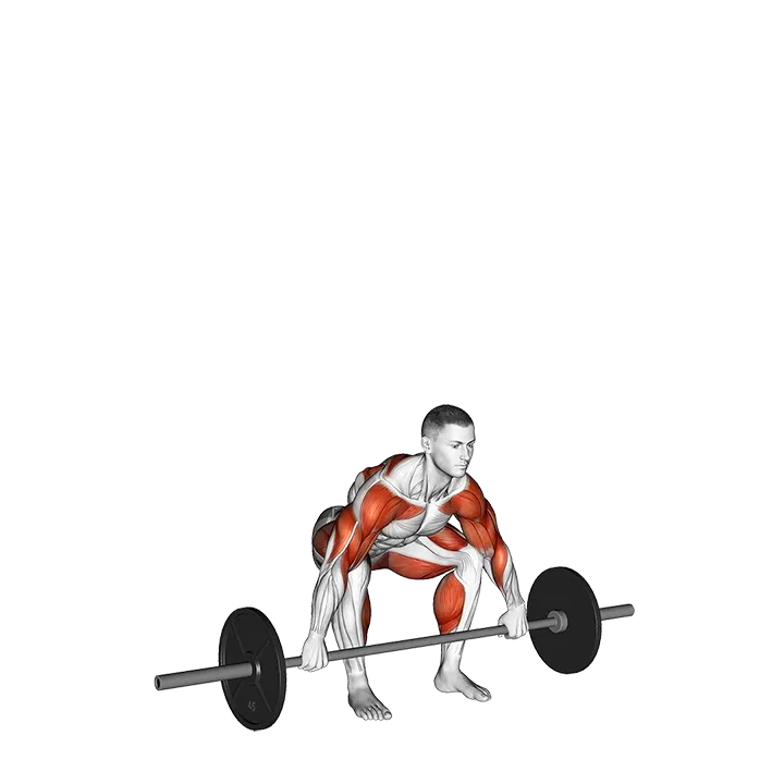 Barbell Snatch exercise animation (Male)