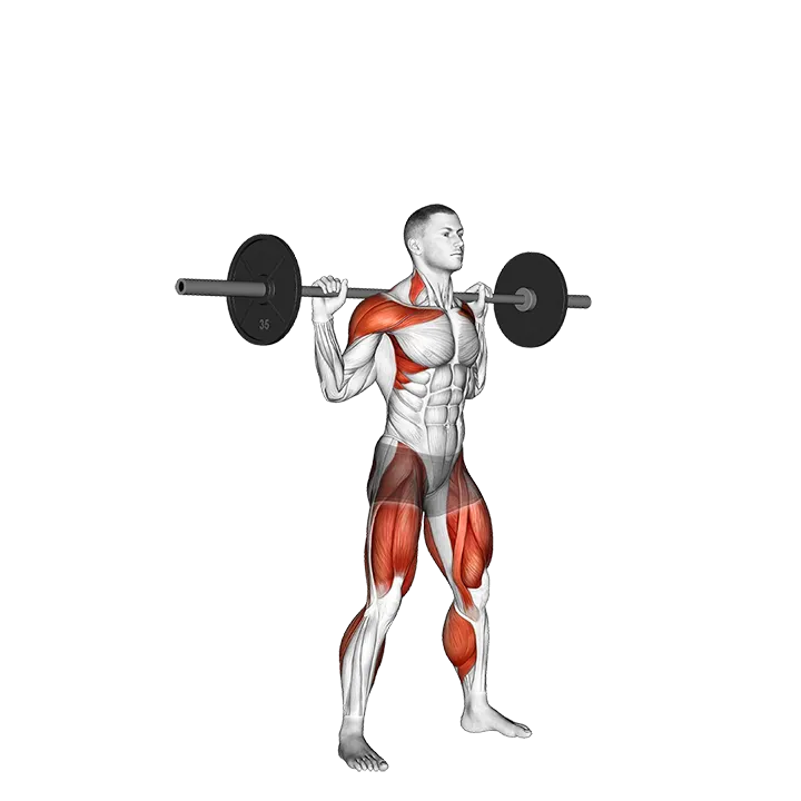 Barbell Snatch Balance exercise animation (Male)