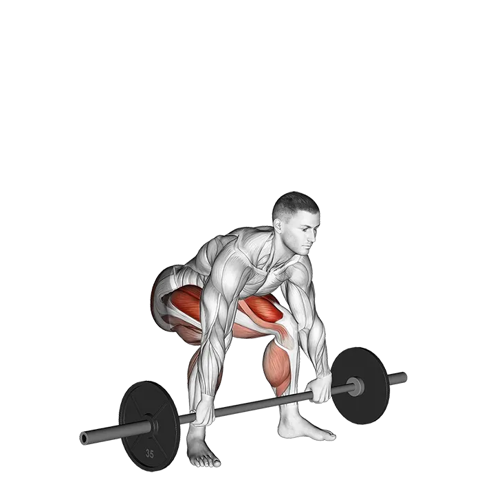 Barbell Snatch Deadlift exercise animation (Male)