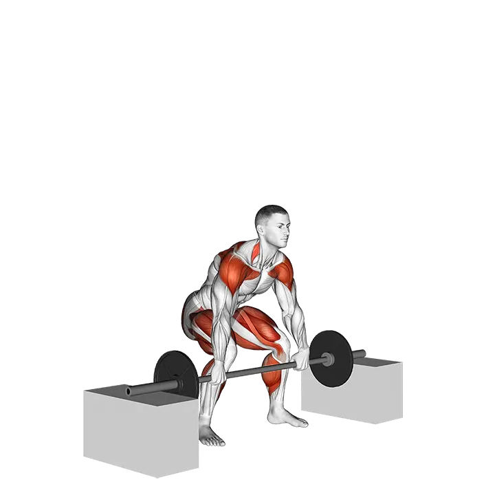 Barbell Snatch from Blocks exercise animation (Male)