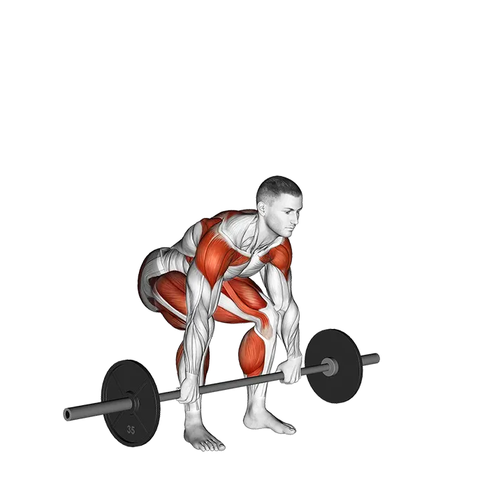 Barbell Split Clean exercise animation (Male)