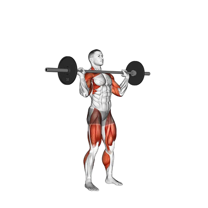 Barbell Split Jerk exercise animation (Male)