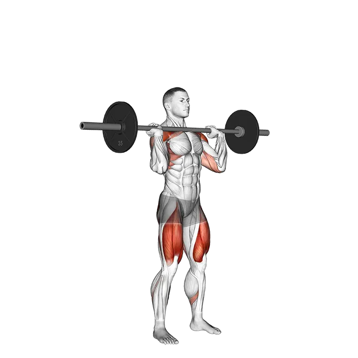 Barbell Squat to Shoulder Press exercise animation (Male)