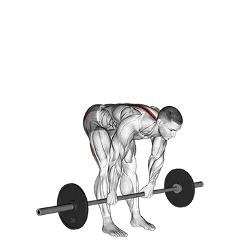 Barbell Stiff Legged Deadlift