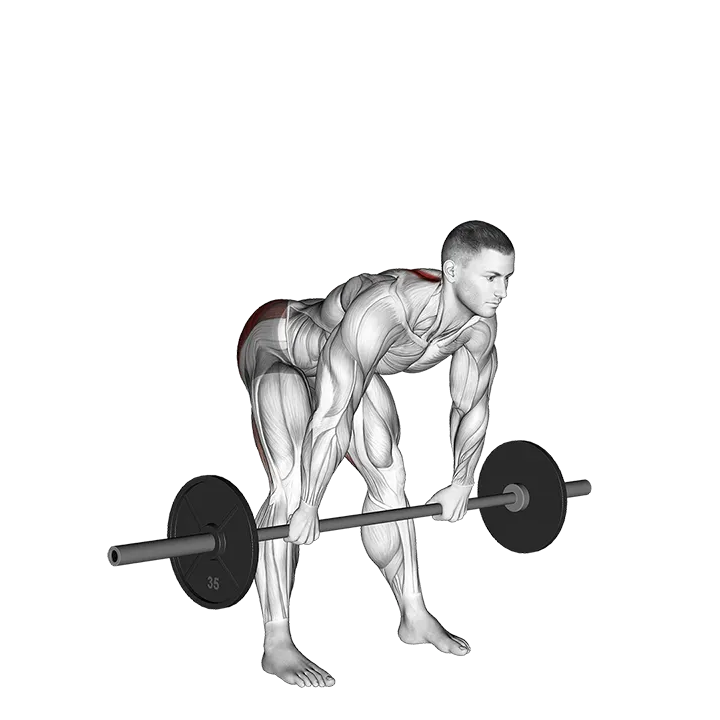 Barbell Wide Stance Stiff Leg Deadlift exercise animation (Male)