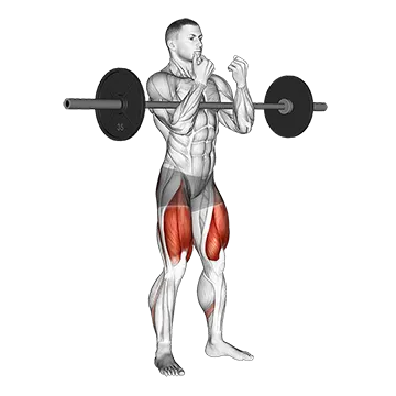 Barbell full Zercher Squat