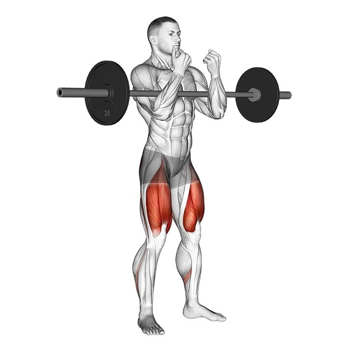 Barbell full Zercher Squat exercise animation (Male)