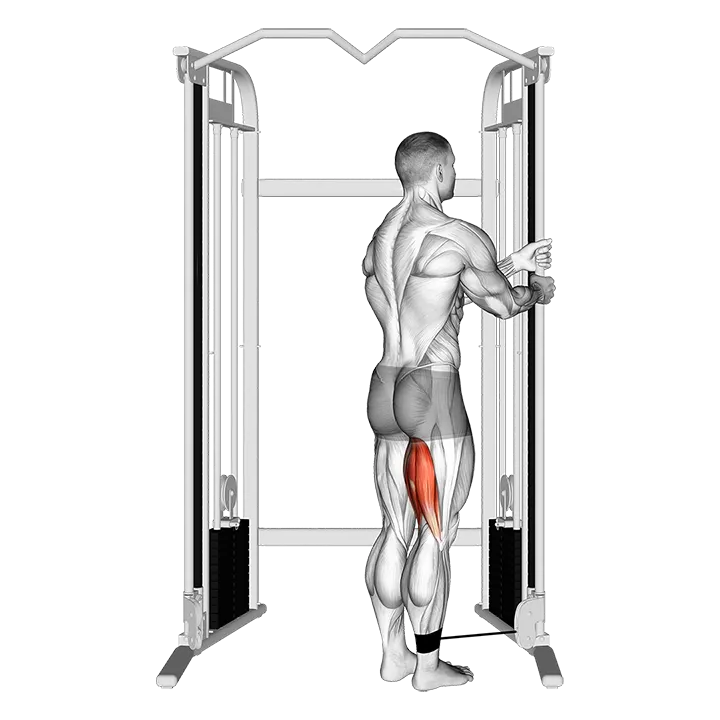 Cable Standing Leg Curl exercise animation (Male)